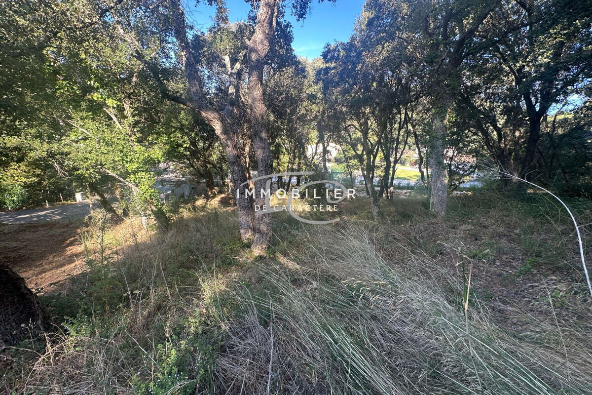 Terrain à LA CROIX-VALMER