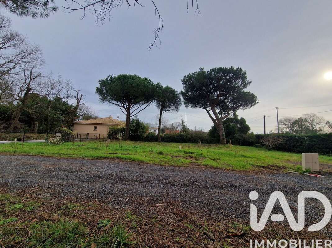 Photo 2 - Terrain à SAINT-HILAIRE-DE-RIEZ