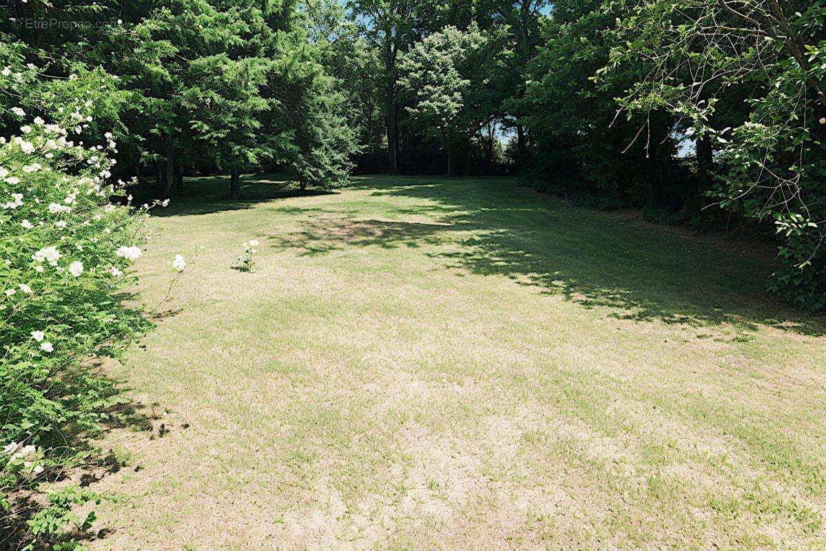 Terrain à MESCHERS-SUR-GIRONDE