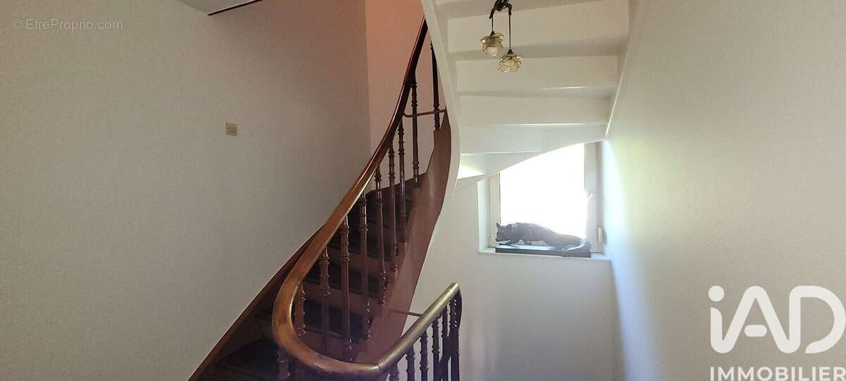 Photo 7 - Maison à NIDERVILLER