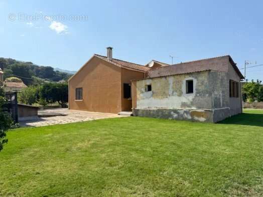 Villa sur parcelle constructible de 1500 m² AVENUE DE BORGO - photo 4