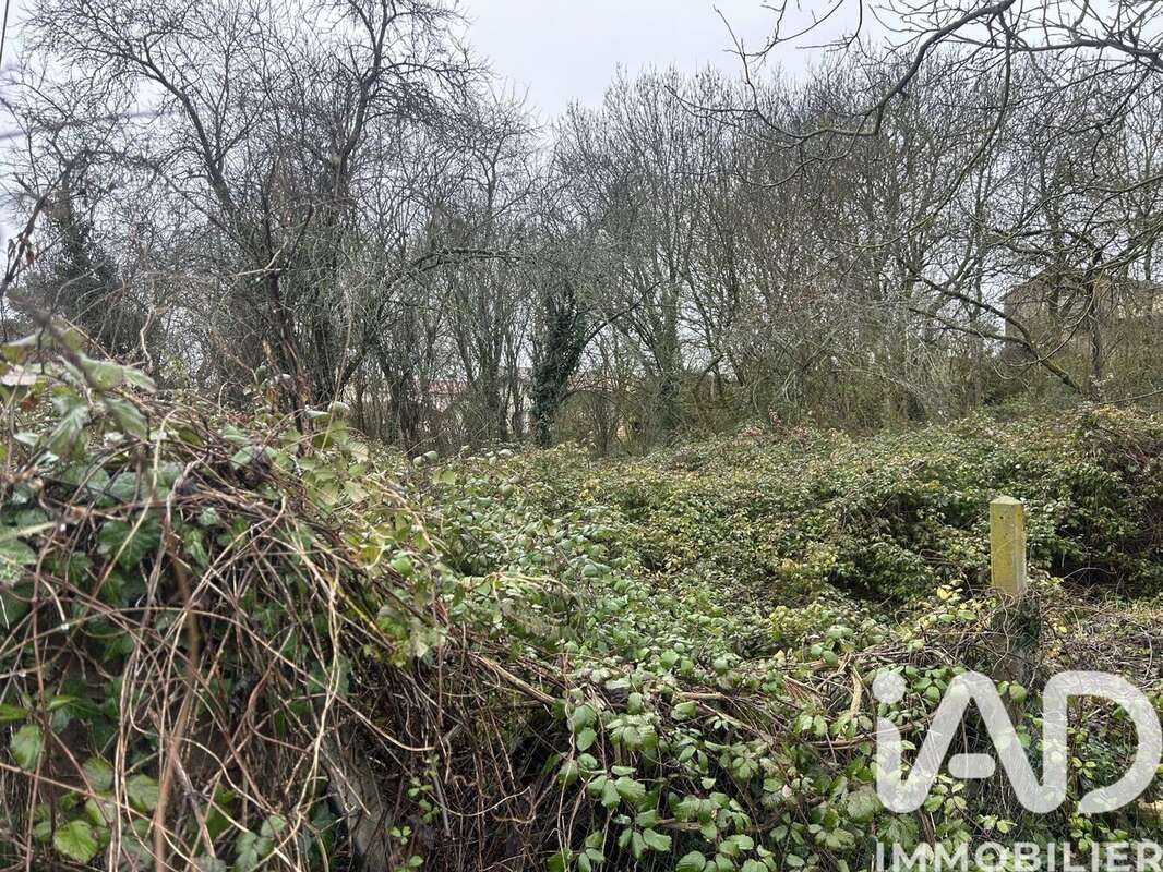 Photo 6 - Terrain à MAINE-DE-BOIXE
