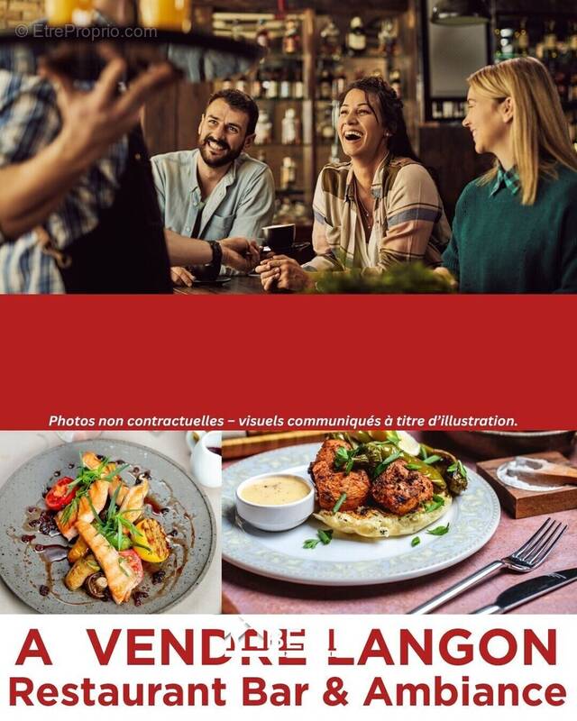 Commerce à LANGON