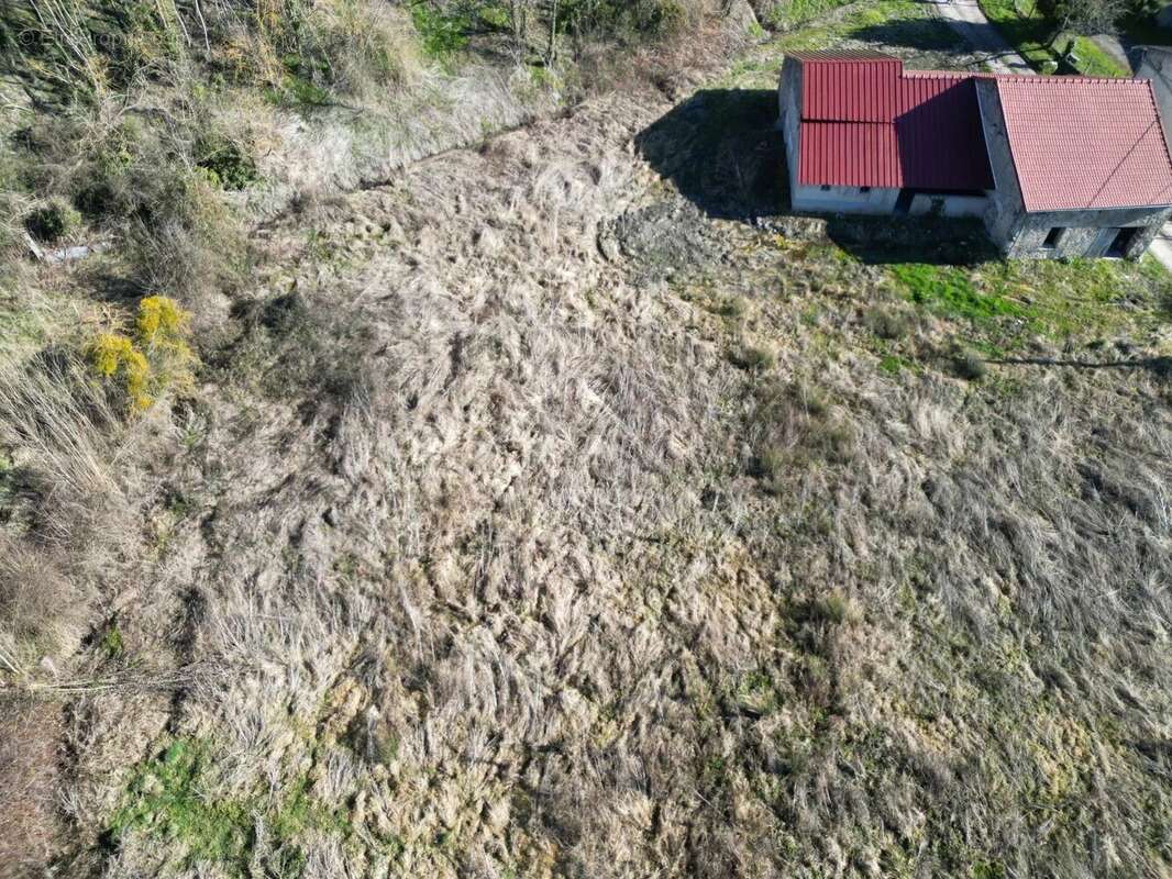 Commerce à BELLENAVES