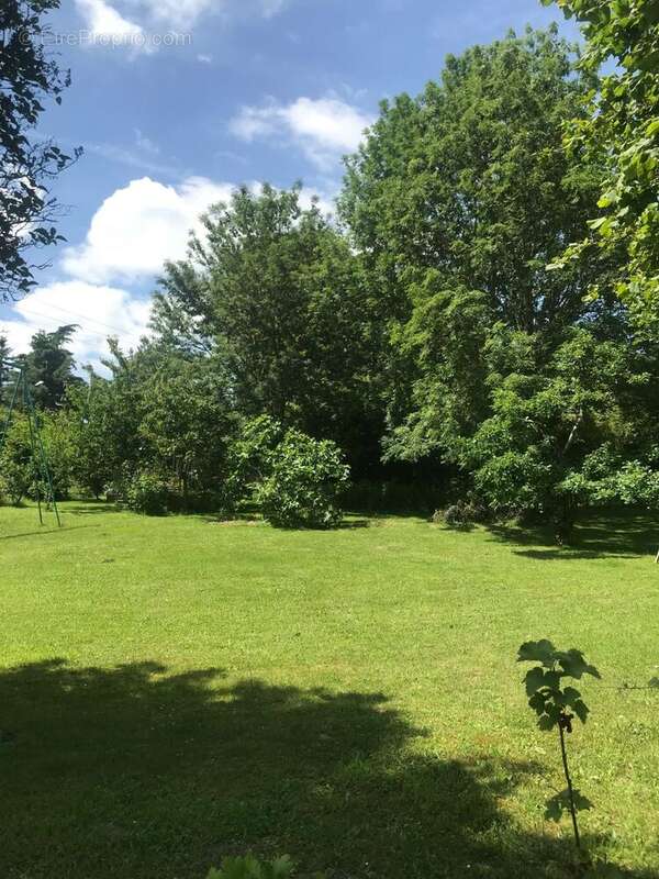 Terrain à VILLIERS-LE-SEC