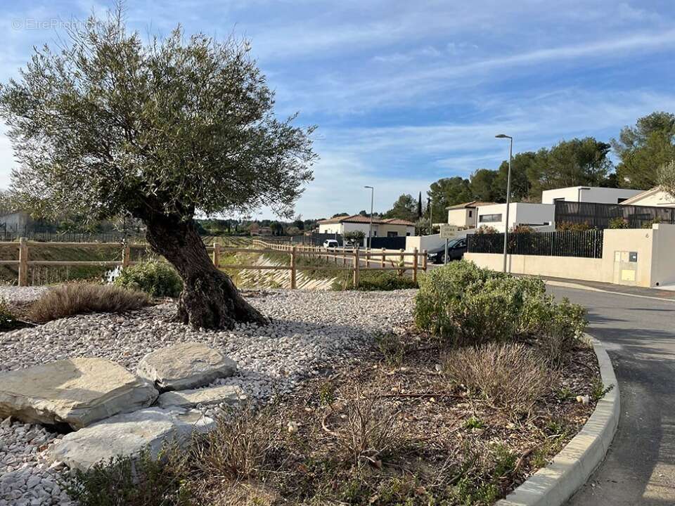 Terrain à MONTFERRIER-SUR-LEZ