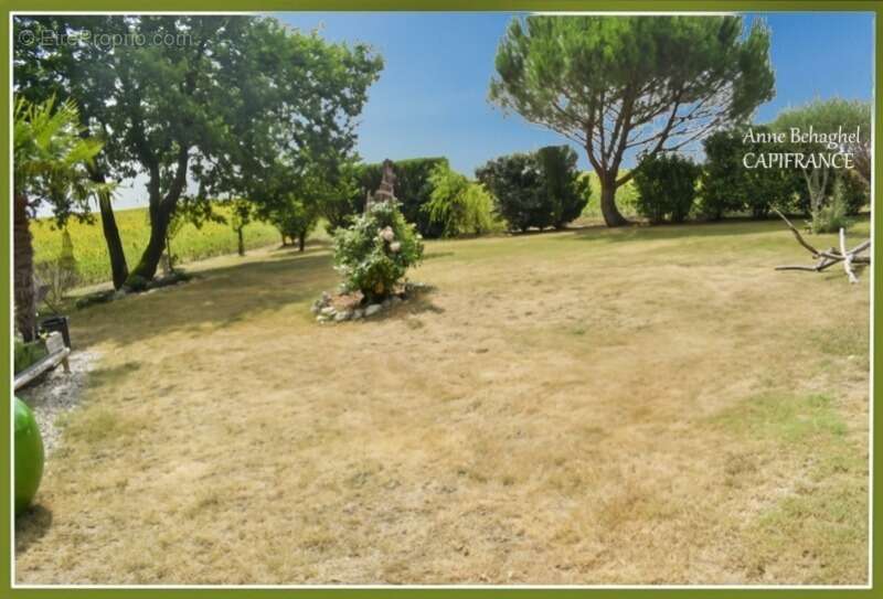 Entre Lectoure et Astaffort- Maison en pierre 5 pièces-127m2-  terrain 1526m2 - photo 9