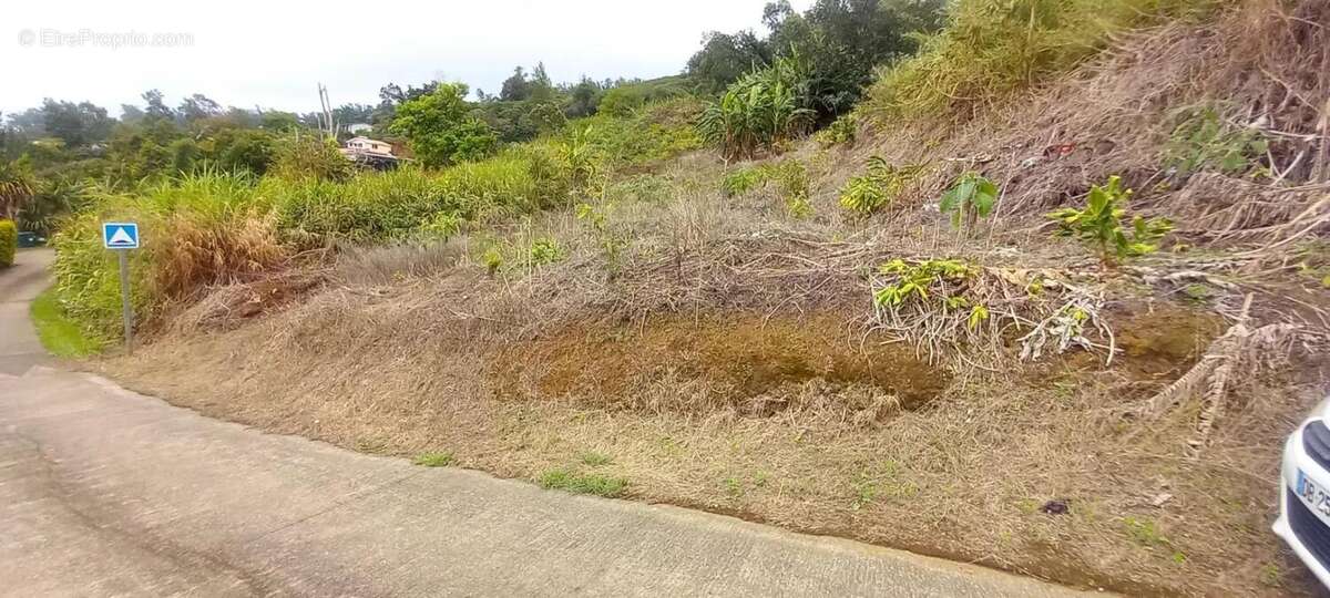 Terrain à SAINT-LEU