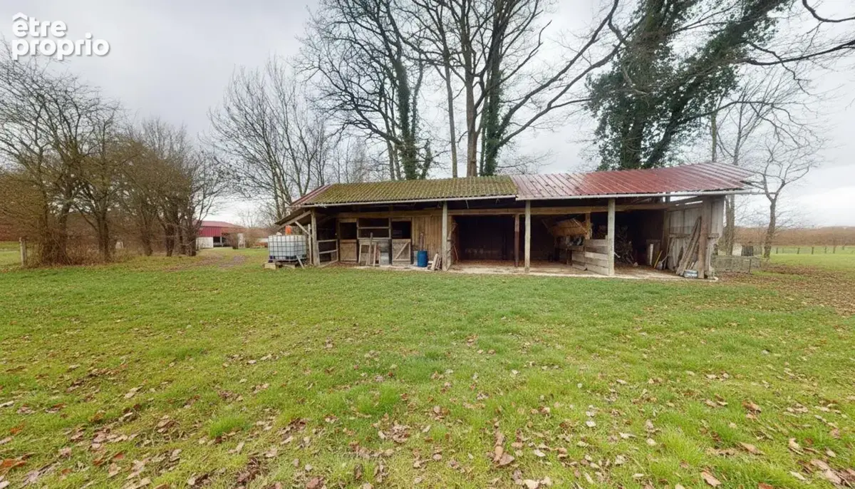 Maison-5 pièces-10 hectares - photo 25