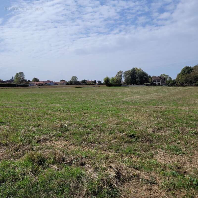 Terrain à LANNEMEZAN