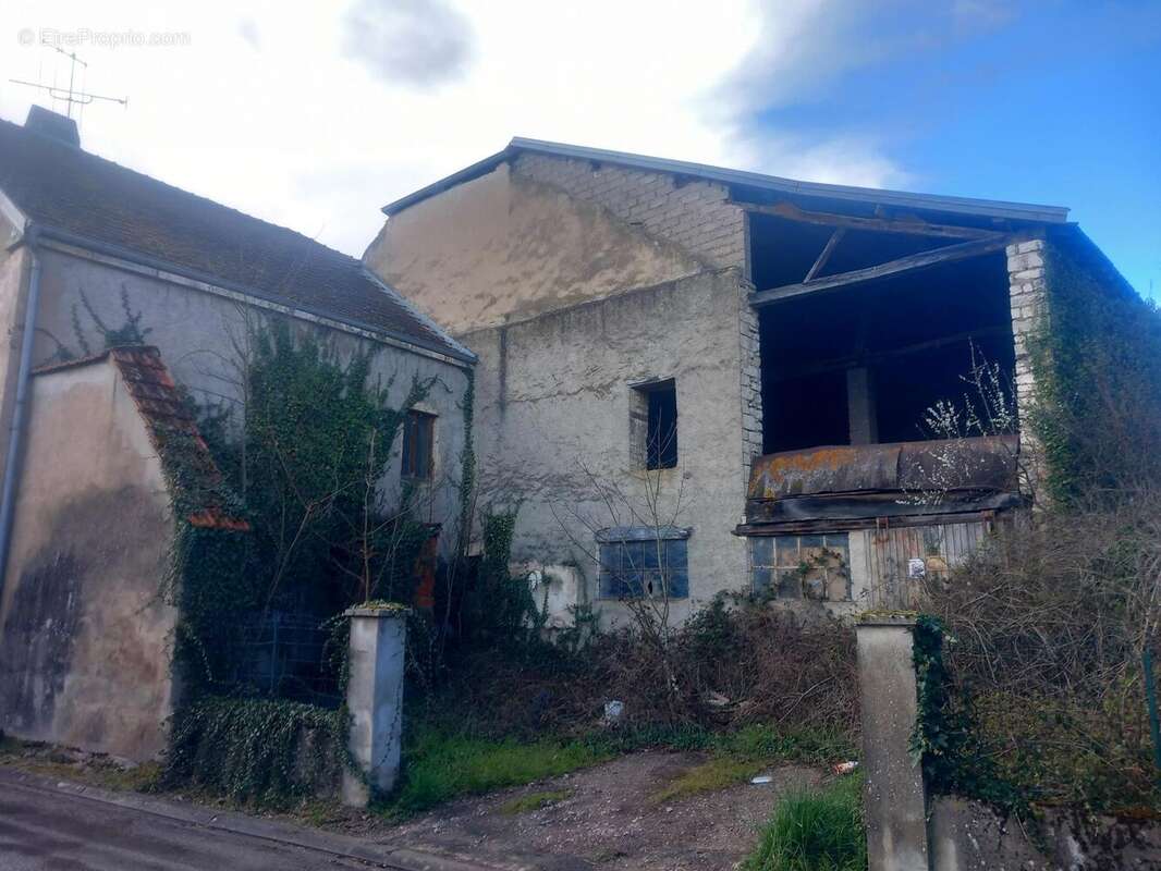 Photo 3 - Maison à NOIDANS-LE-FERROUX