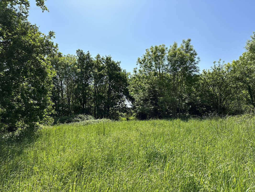 Maison de campagne ! - photo 4