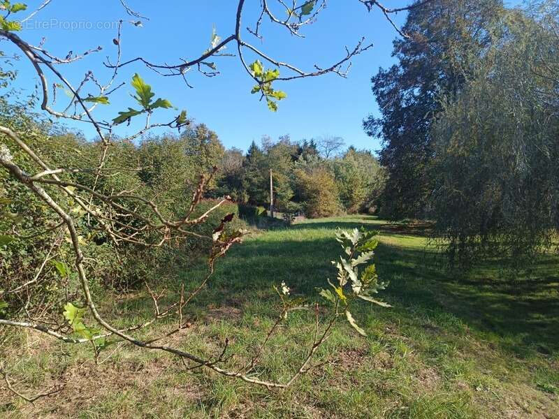 Maison à MONLEZUN-D&#039;ARMAGNAC