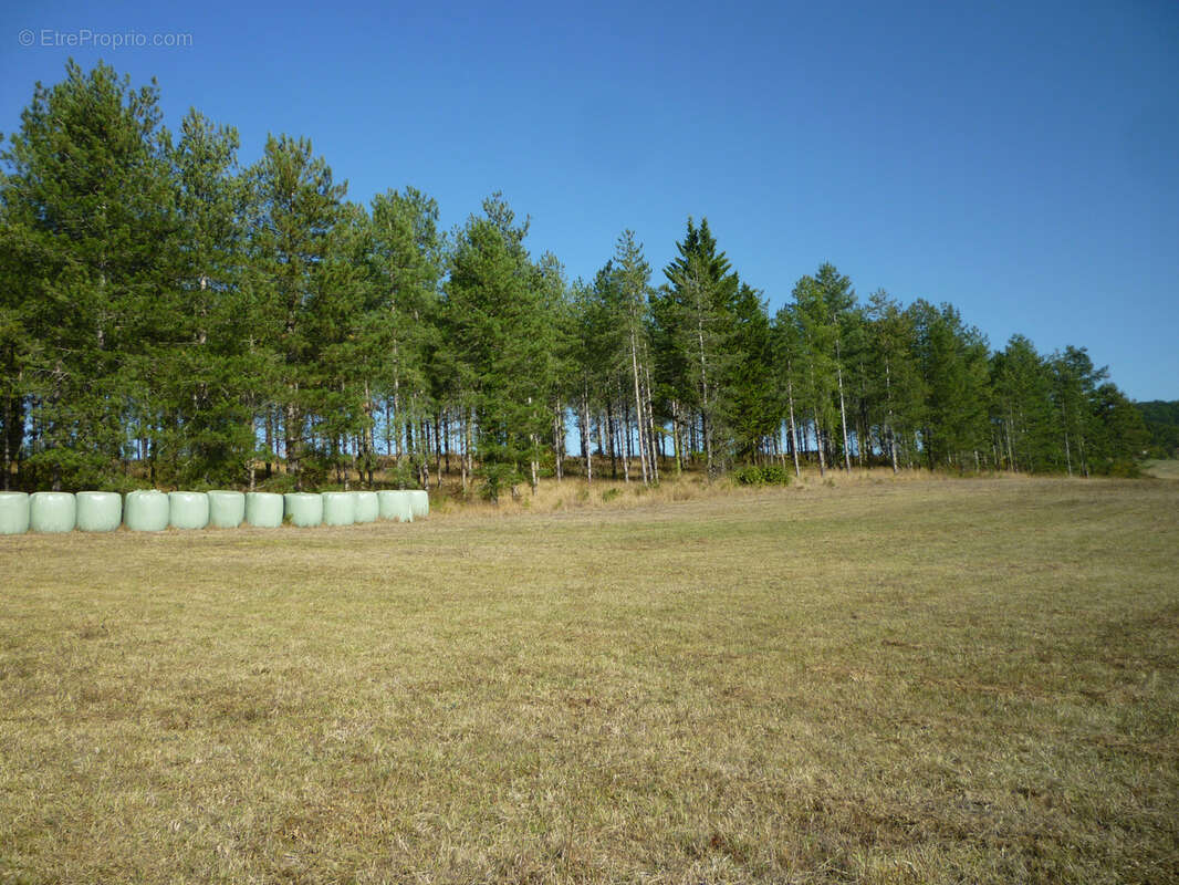 Terrain de loisirs - photo 5