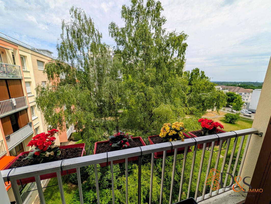 Appartement à RIXHEIM