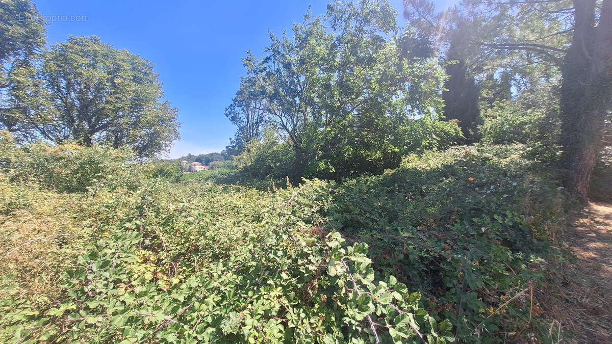 Terrain a batir de 650 m² tulette 26790 - photo 2