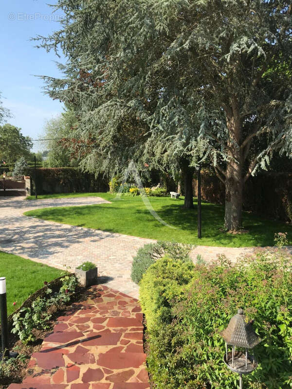 Maison à SANDILLON