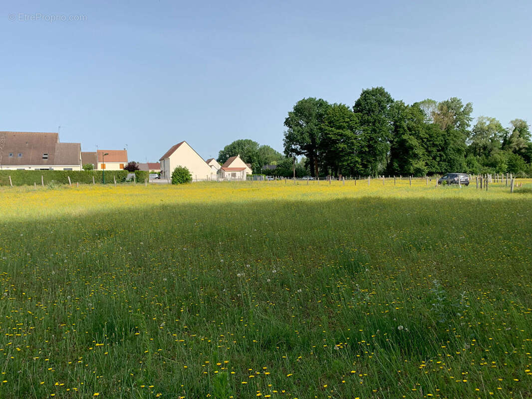 Terrain à ATHIES-SOUS-LAON
