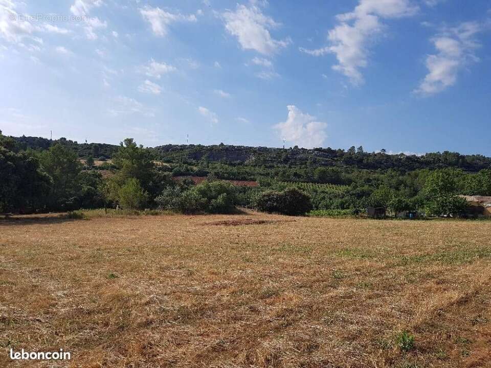 Terrain à CAZOULS-LES-BEZIERS
