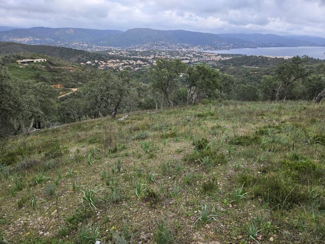 Terrain à BORMES-LES-MIMOSAS