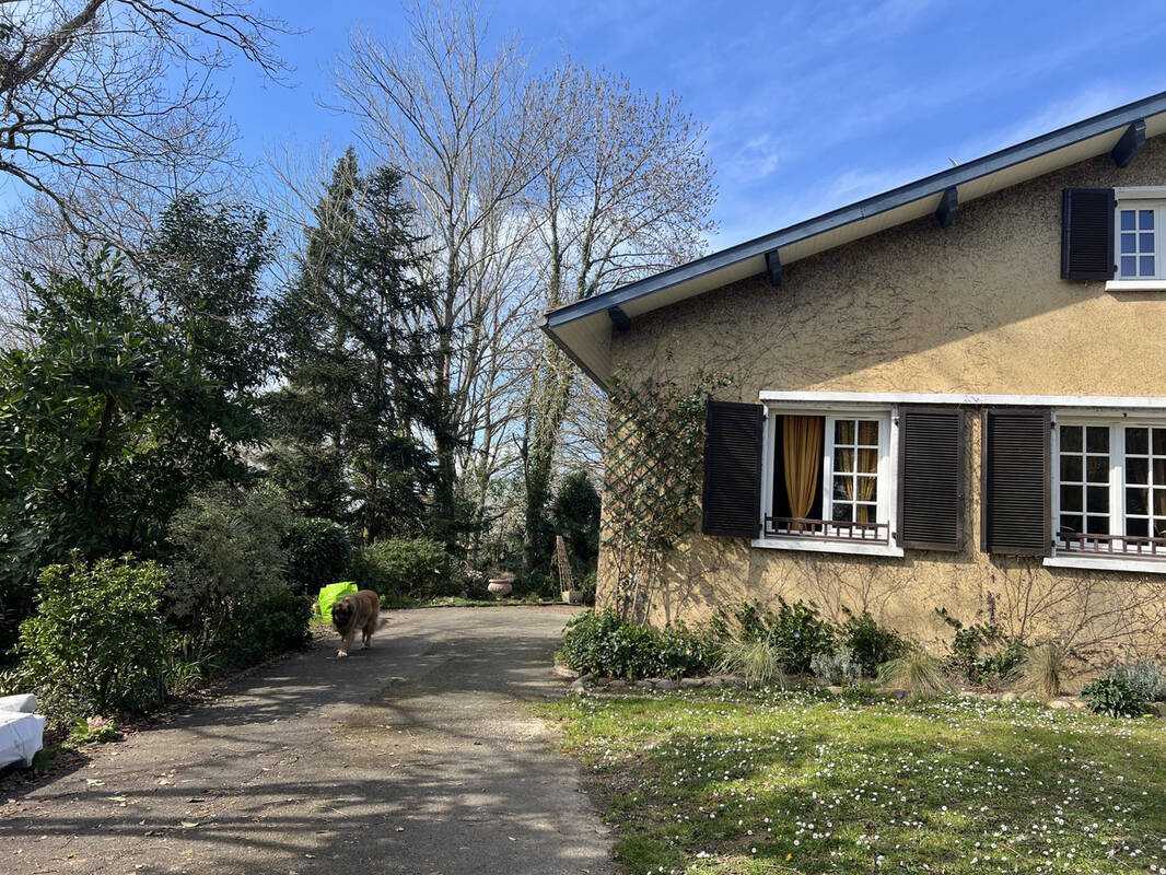 Maison à SALIES-DE-BEARN