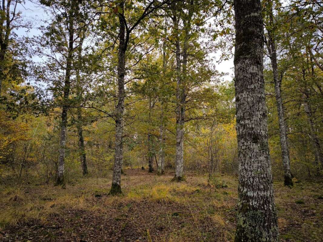 Terrain à VEILLEINS
