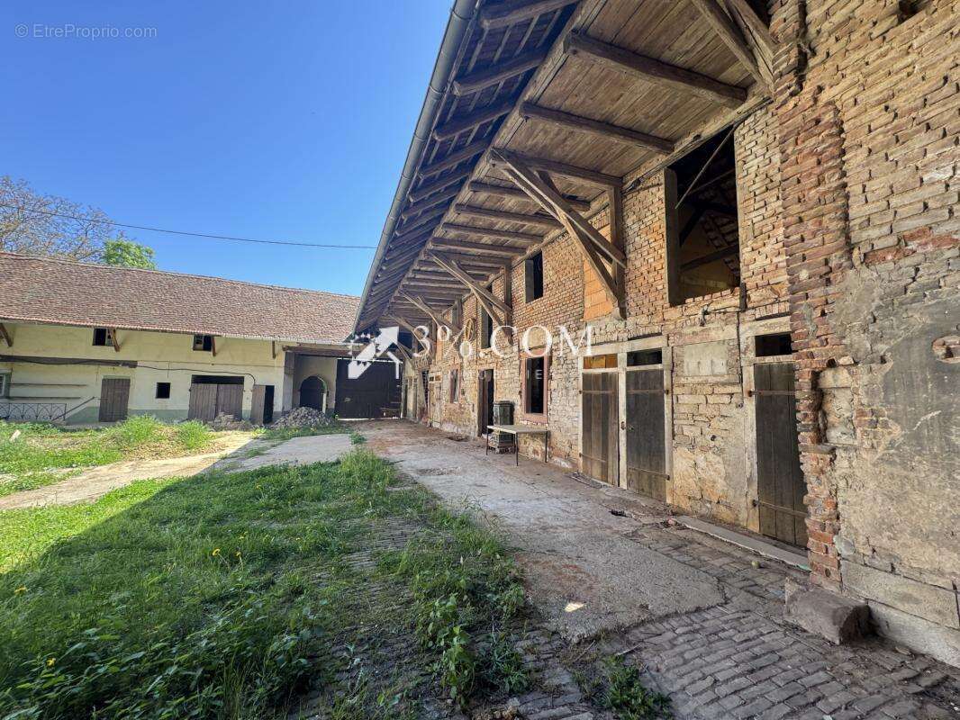 Maison à SAESSOLSHEIM