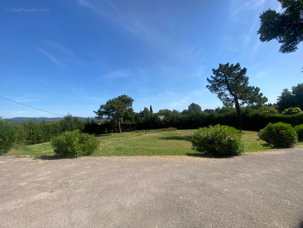 RARE À CÉRET -Fort potentiel-Terrain constructible de 2000 m2 avec certificat d’urbanisme délivré. - photo 9