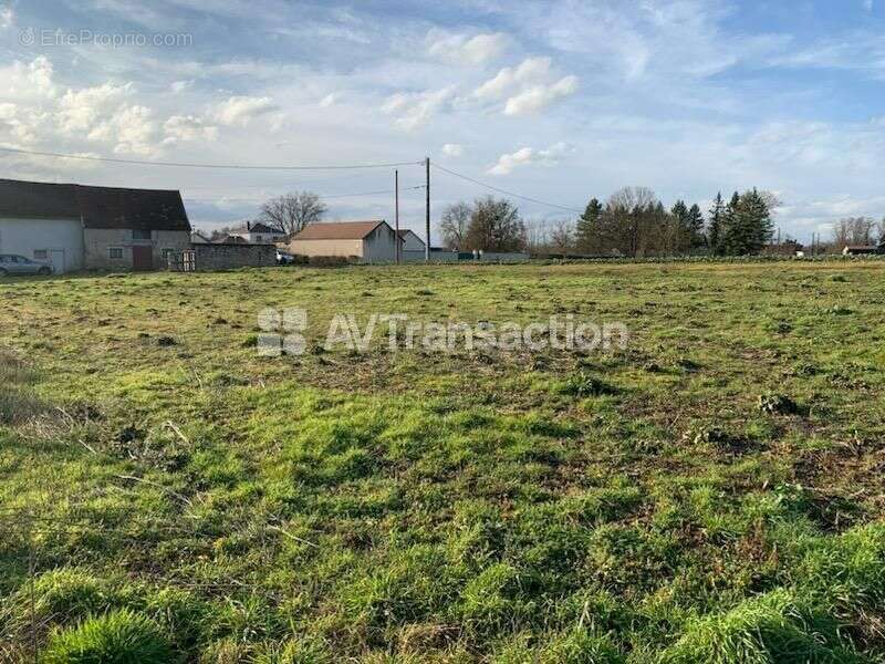 Terrain 997 m² à Mirebeau-Sur-Beze  - photo 2