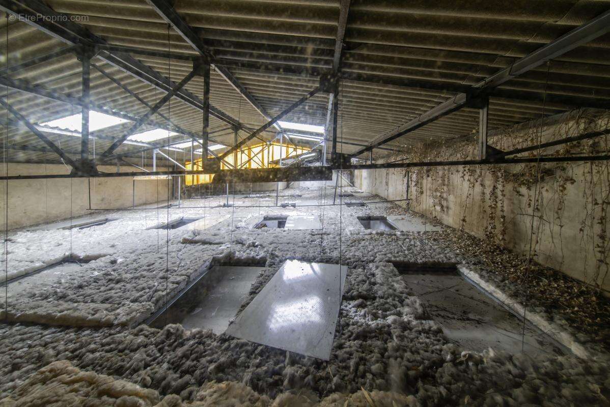 Appartement à NIORT