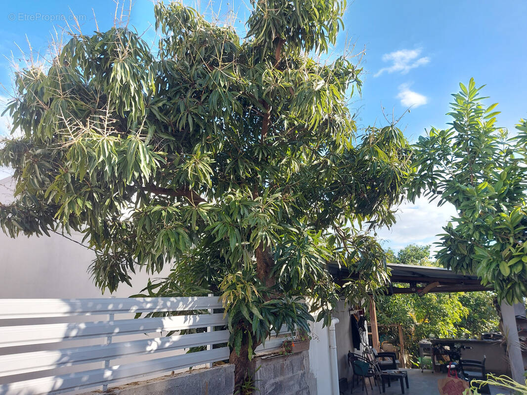 Maison à SAINT-JOSEPH