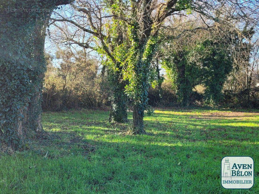 Terrain à MOELAN-SUR-MER