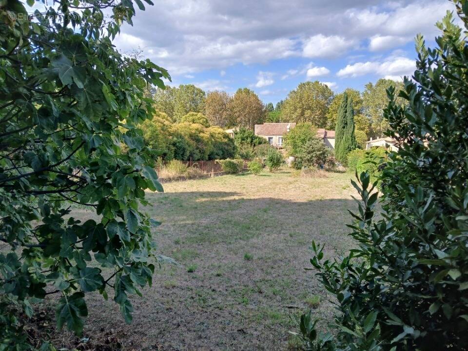 Terrain à MONTBAZIN