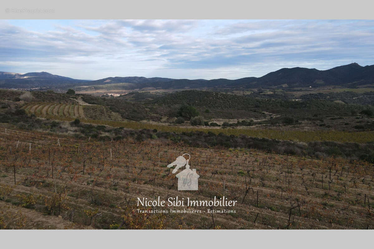 Terrain à CASSAGNES