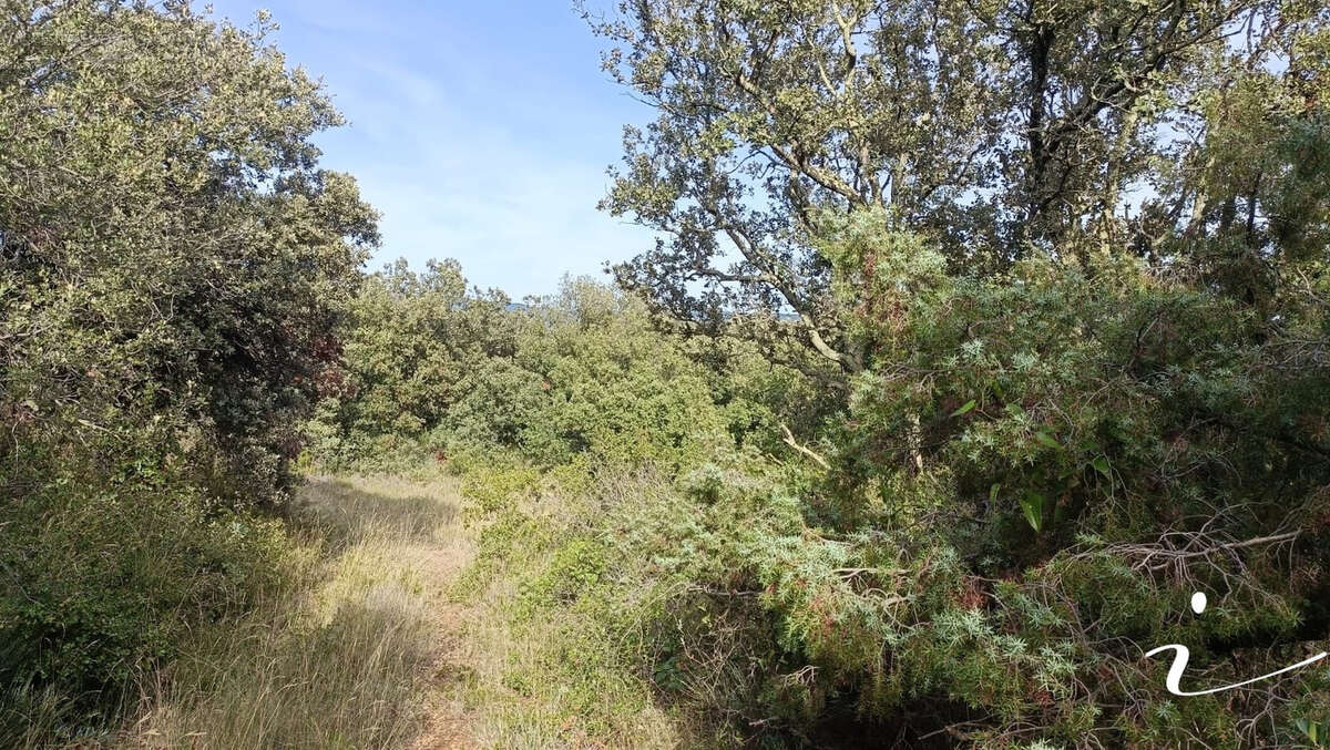 Terrain à LAGAMAS