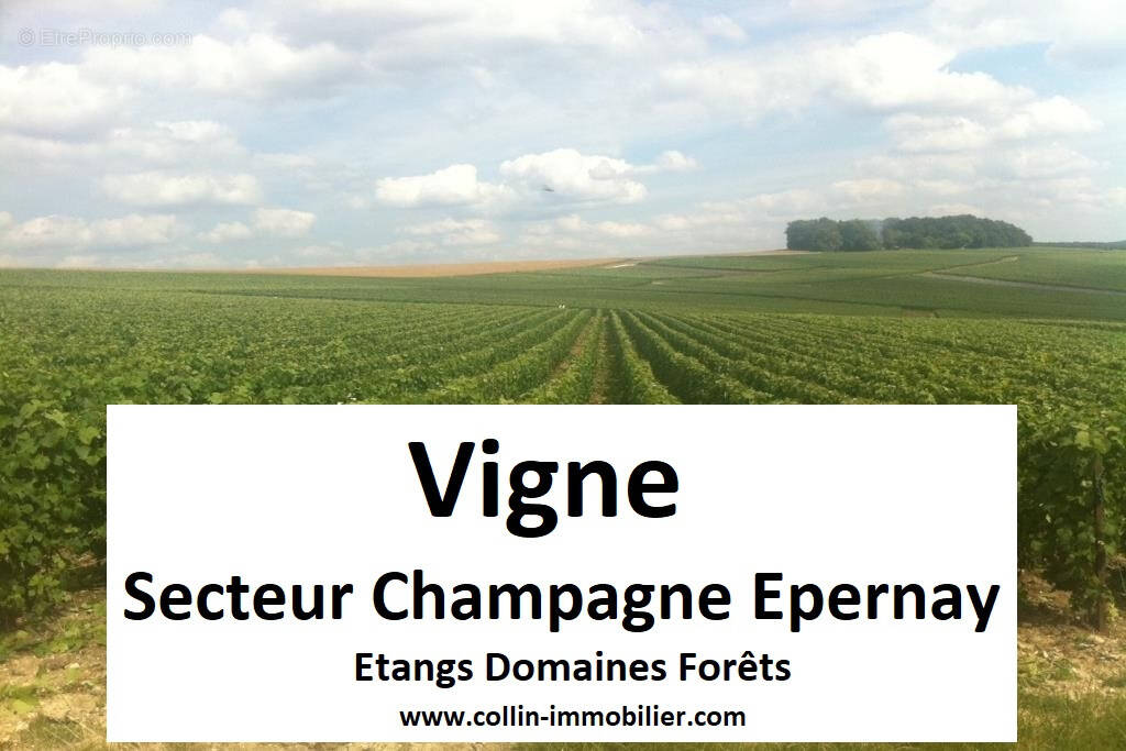 Terrain à EPERNAY