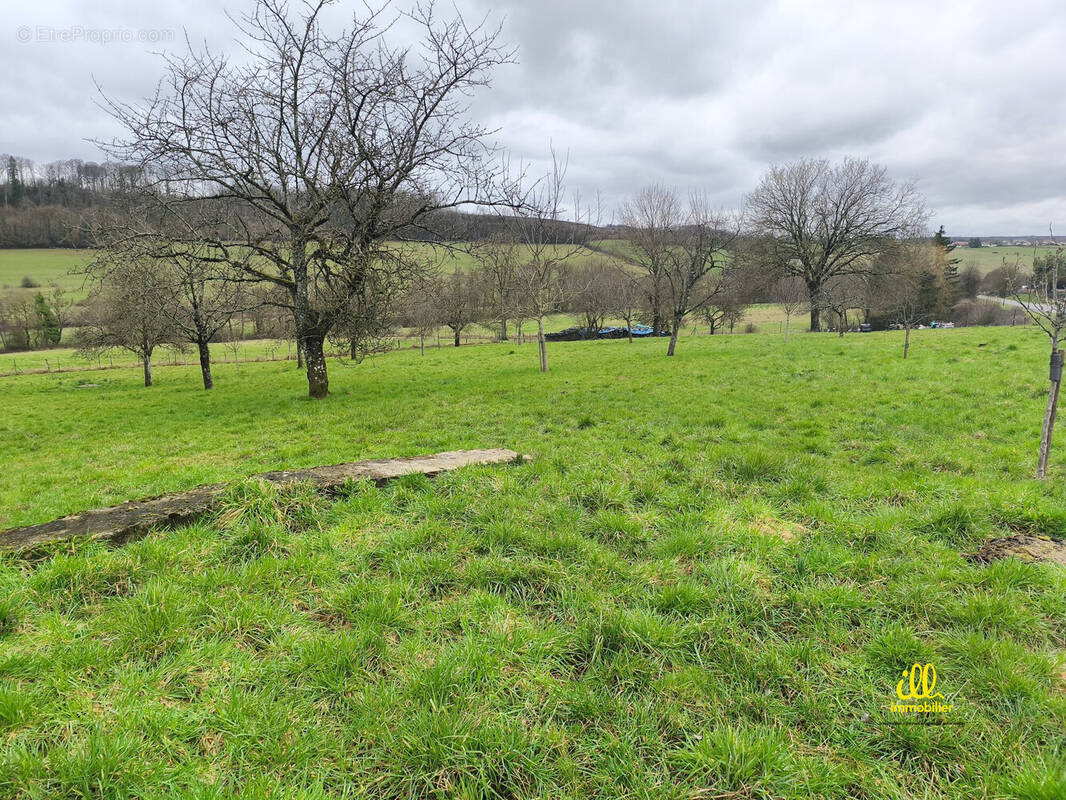 Terrain à FRANCHEVAL