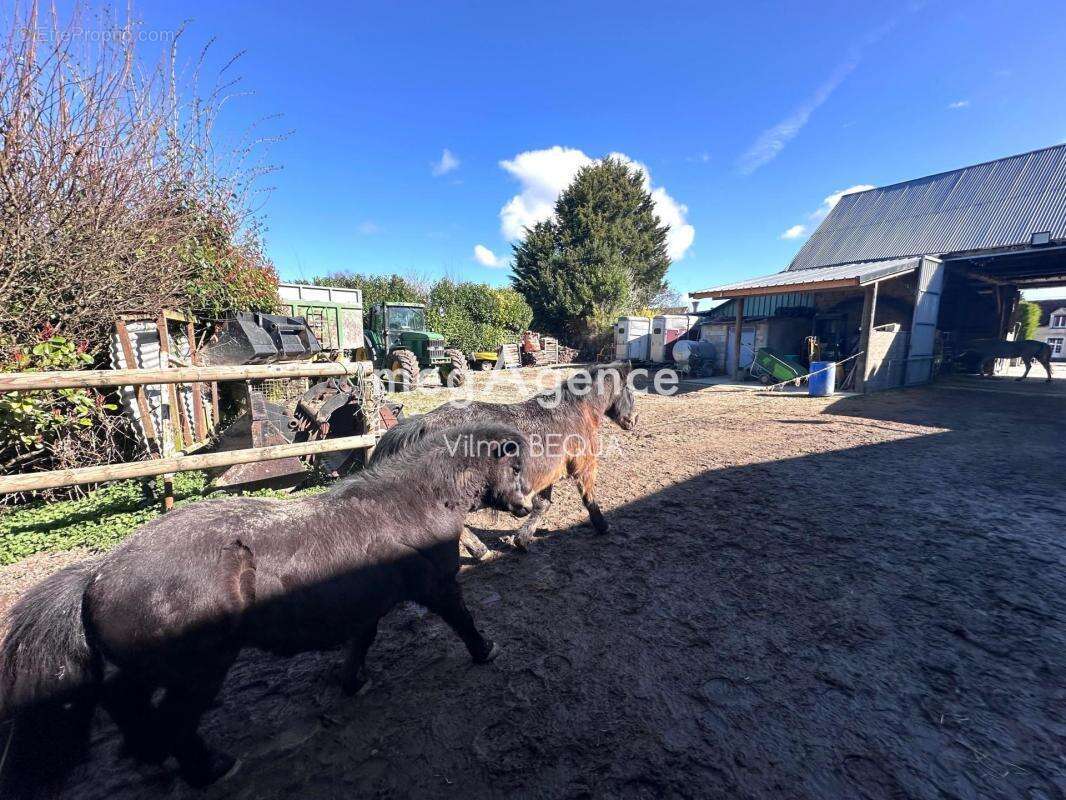 Maison à THORIGNY-SUR-OREUSE