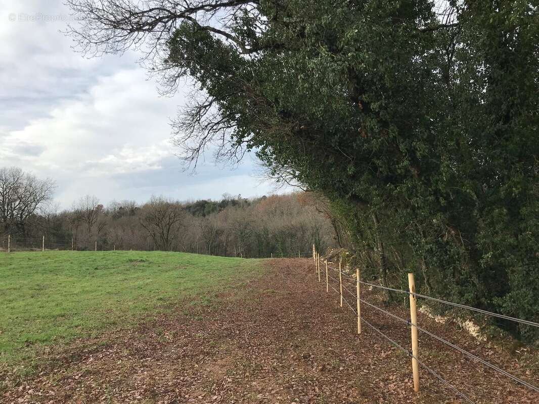 Maison à CHATEAUNEUF-SUR-CHARENTE