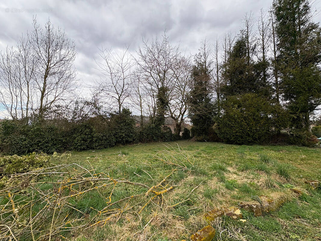 Terrain à SAINTE-GENEVIEVE