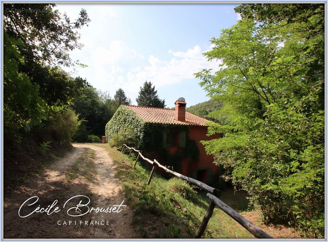 Propriete à vendre 10 pièces SAINT LAURENT DE CERDANS (66) - photo 35