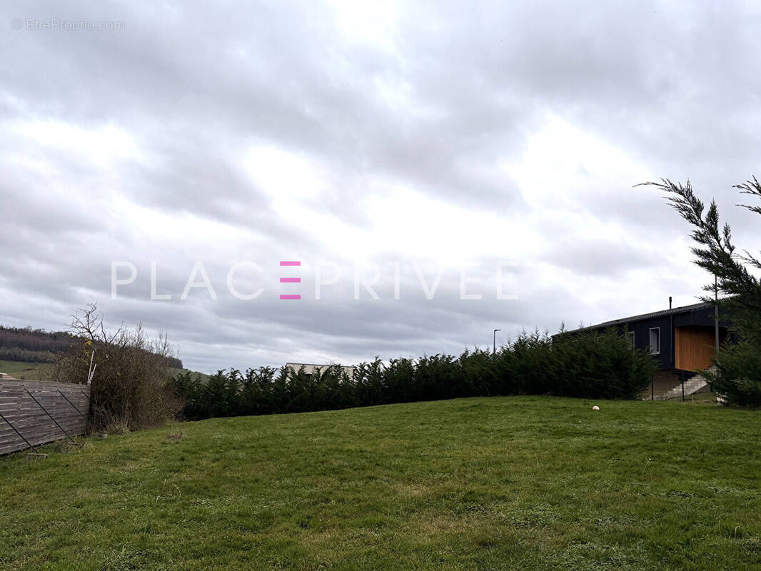 Terrain à BOUXIERES-AUX-CHENES