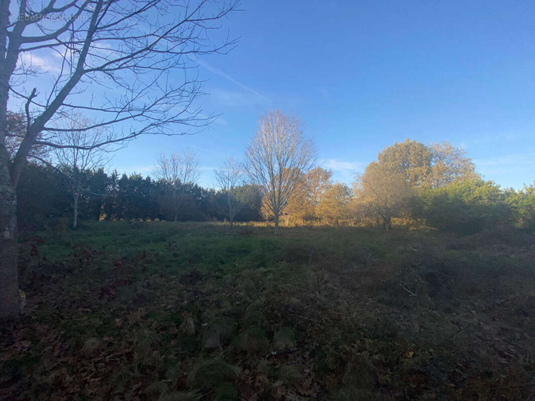 Terrain à LIPOSTHEY