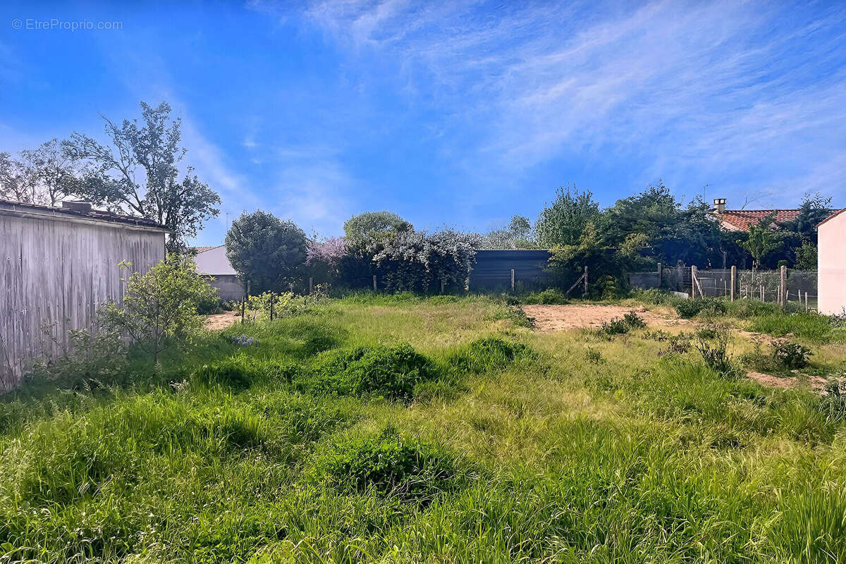Terrain à VILLEDOUX