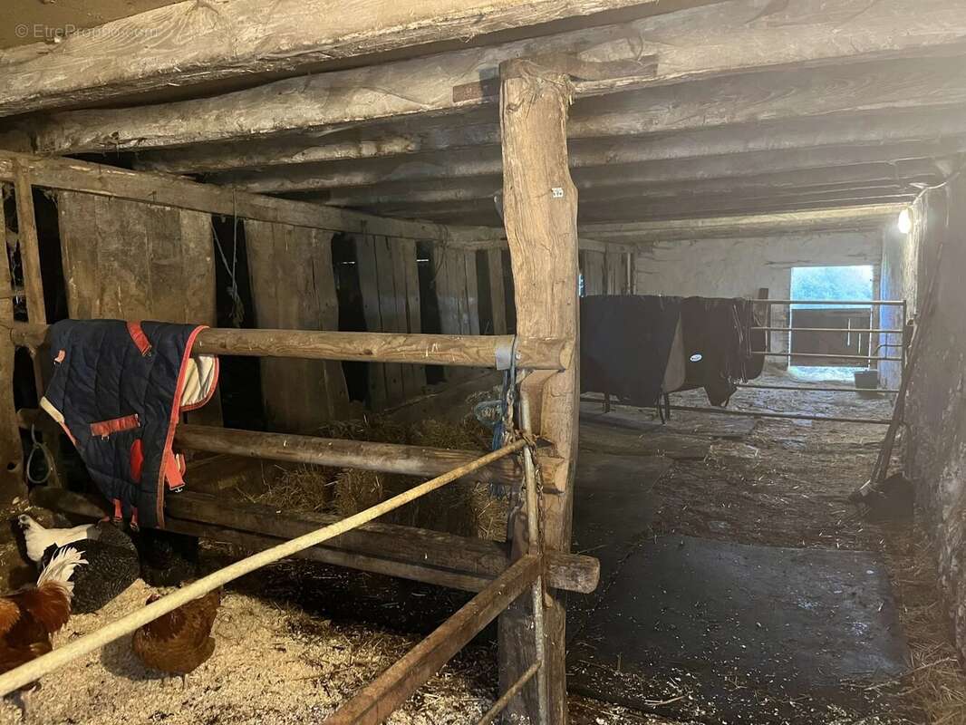 Maison à L&#039;ISLE-JOURDAIN