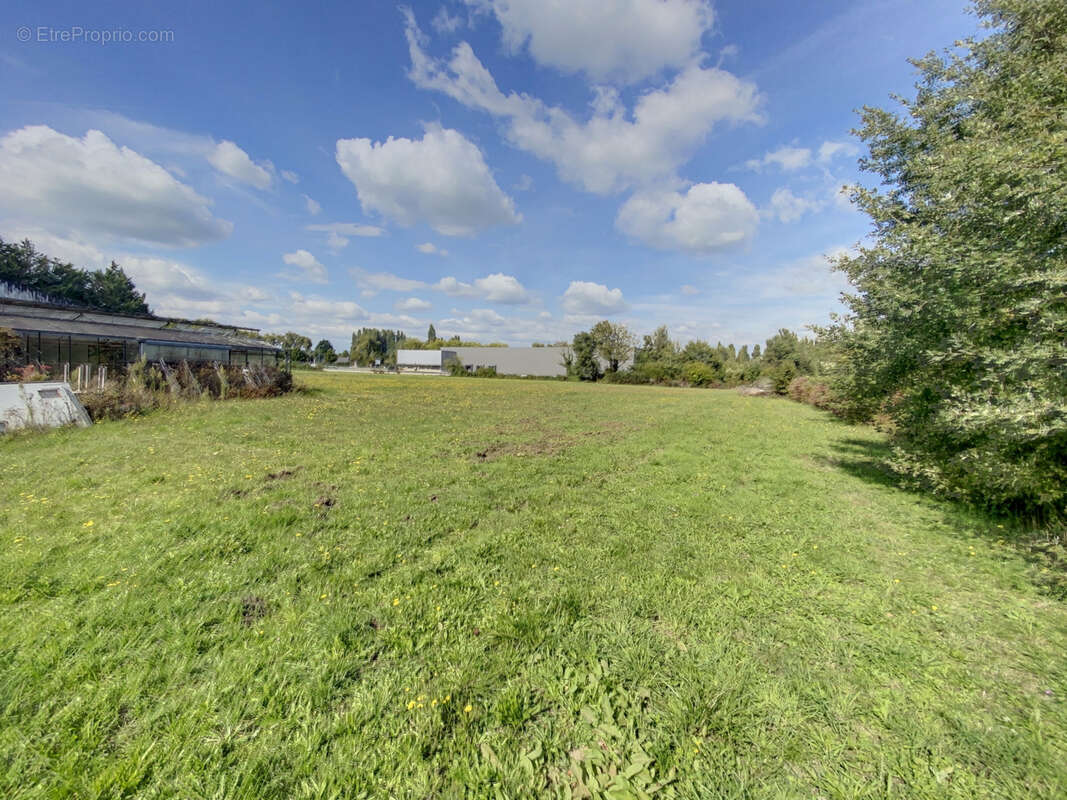 Terrain à VILLEVEQUE