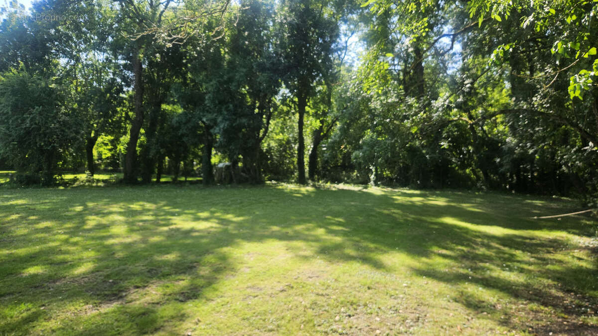 Terrain à NOTRE-DAME-DE-MONTS