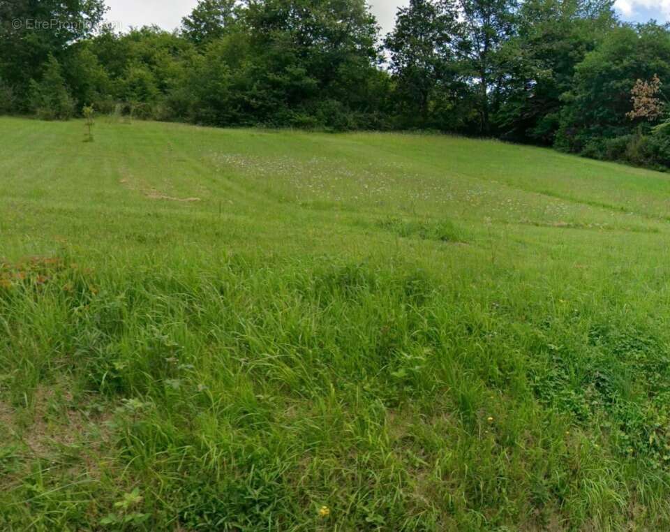 Terrain à LUNAS