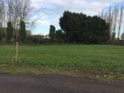 Terrain à CHAMPAGNE-LES-MARAIS