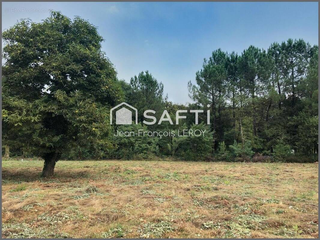 Photo 1 - Terrain à SAINT-AUBIN-DE-MEDOC